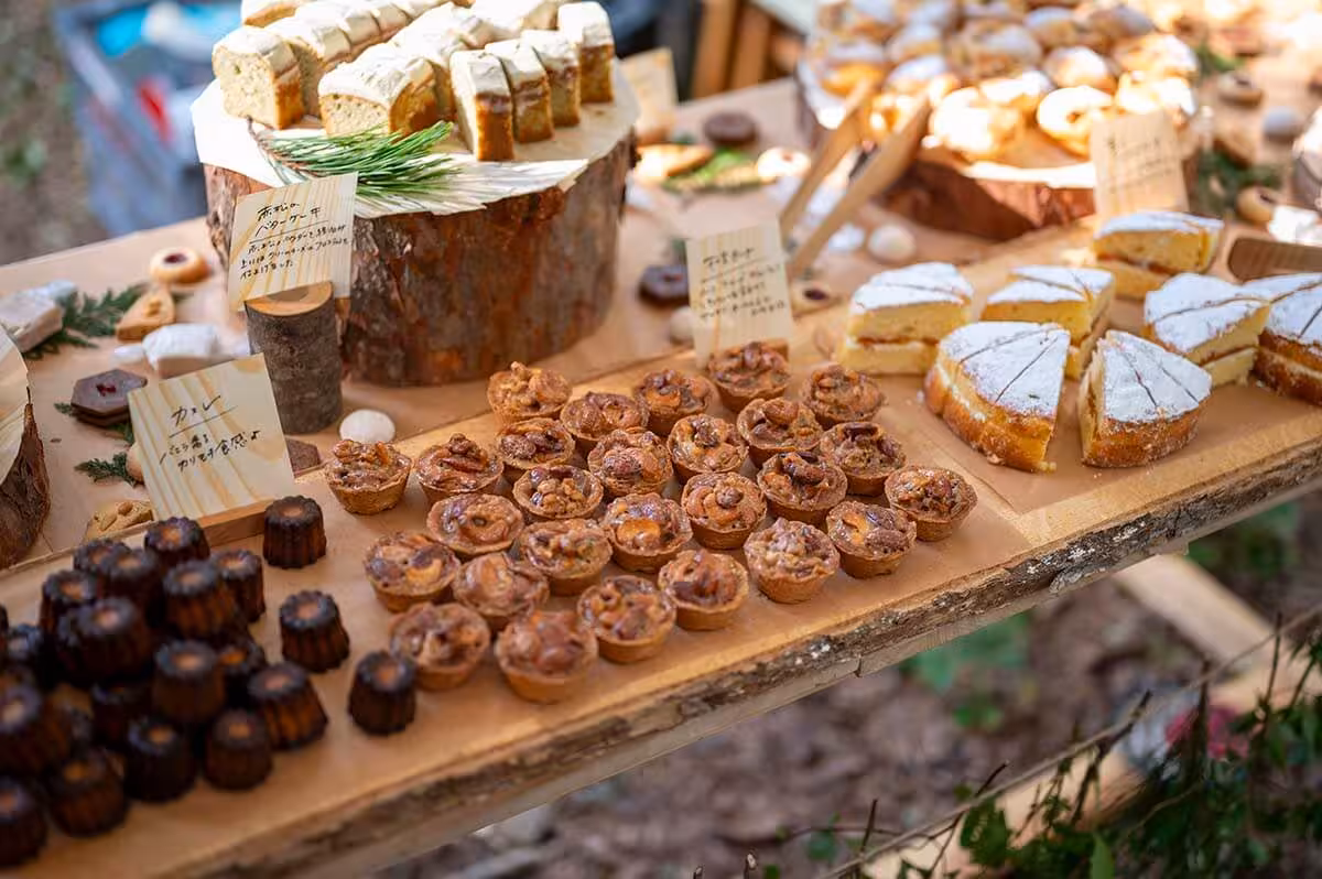 フォレストカレッジの様子