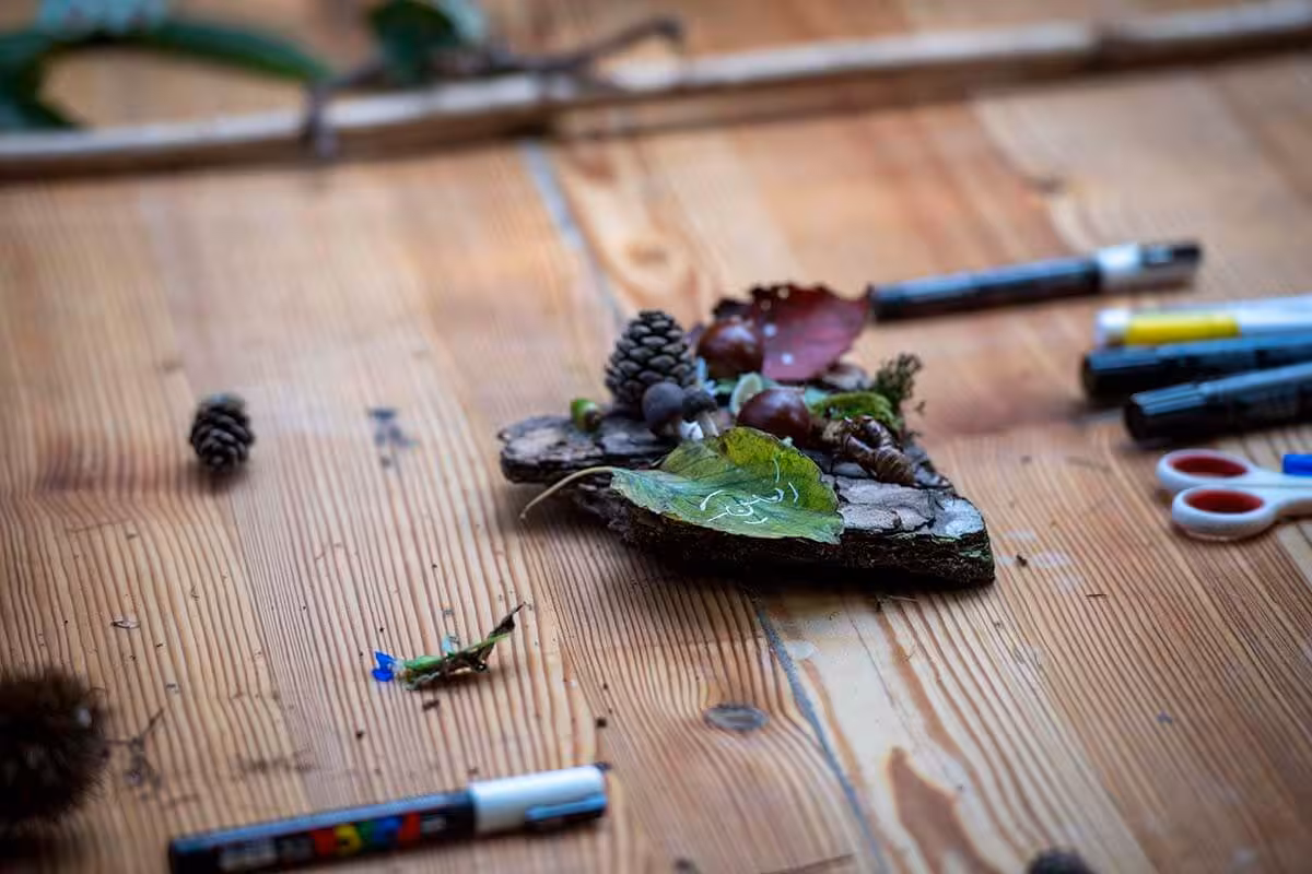 フォレストカレッジの様子