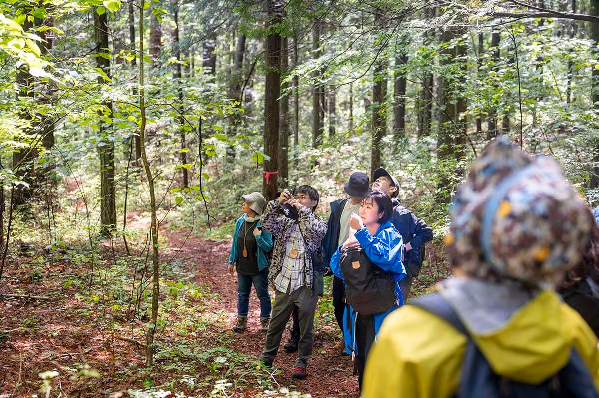フォレストカレッジの様子