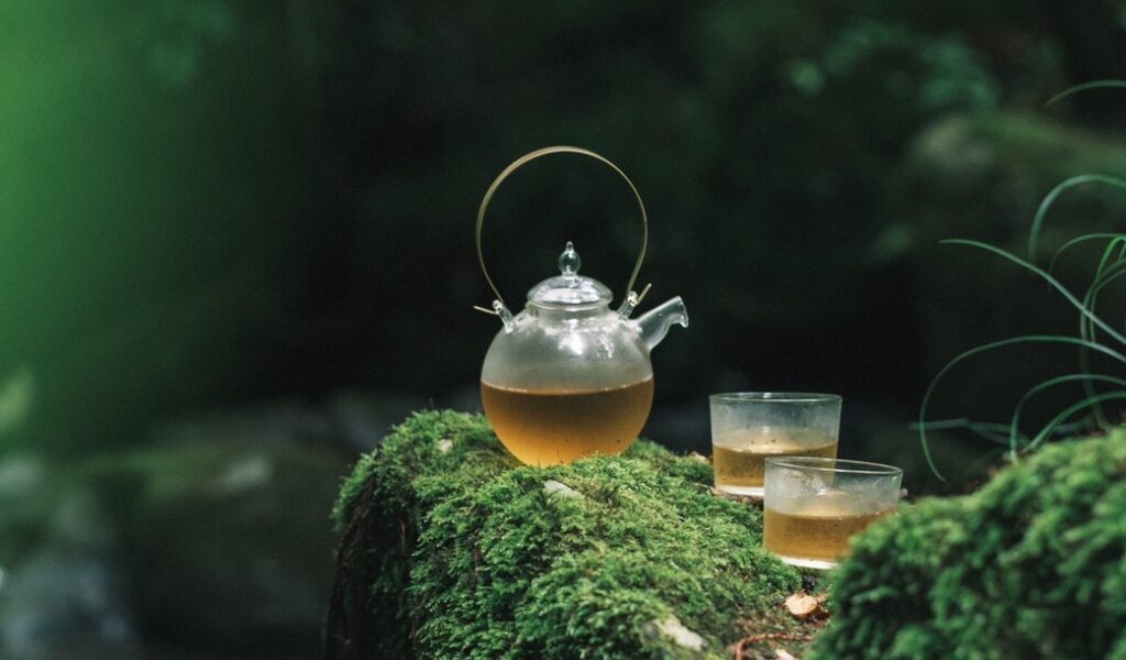 受講生のこれから「フォレストカレッジのご縁をカタチに 〜森ノ茶を伊那で〜（文：徳山 雅美）」