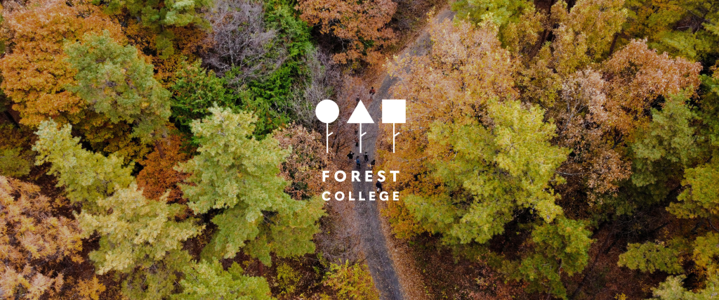 今年開催予定のフォレストカレッジ